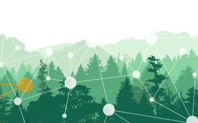 Gouvernance Intégrative et robustesse des organisations : S’inspirer du Vivant pour créer des collectifs résilients